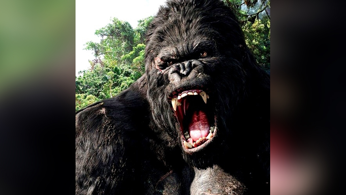 Hollywood, Los Angeles, Actress, Heroine, King Kong, Variety