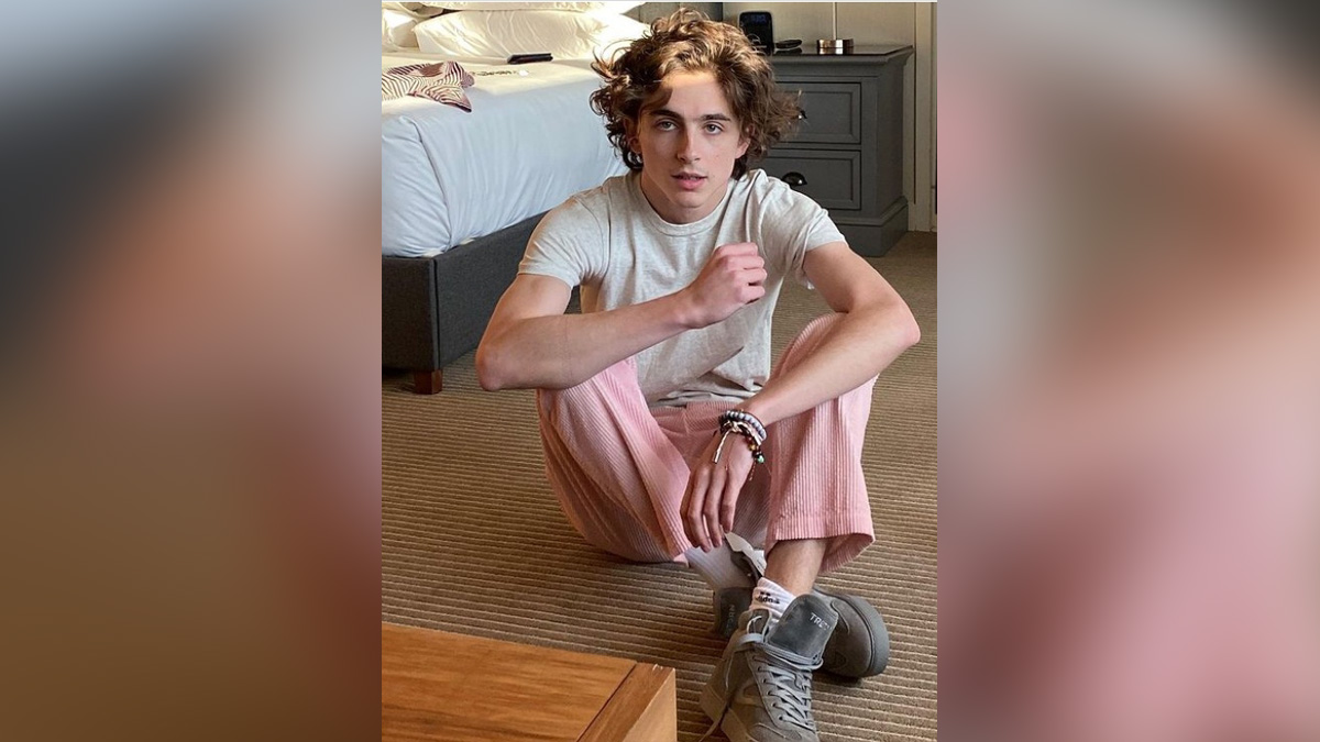Hollywood, Los Angeles, Actress, Actor, Cinema, Movie, Timothee Chalamet, Bones and All