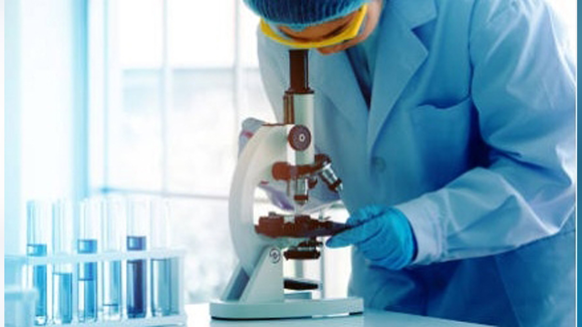 Health, Study, New York, Research, Researchers, World News, Novel Drug Molecule