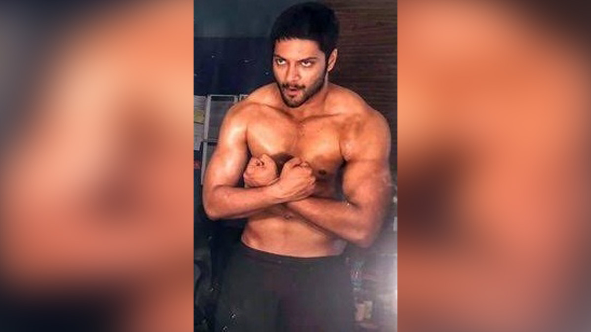 Bollywood, Web Series, Entertainment, Mumbai, Actress, Actor, Mumbai News, Ali Fazal, Mirzapur 3