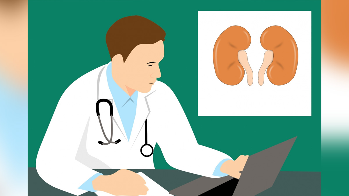 Health, Study, New York, Research, Researchers, World News, chronic kidney disease, CKD