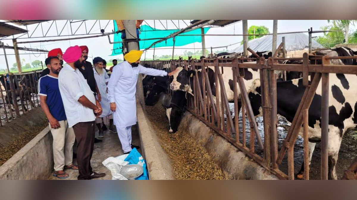 Laljit Singh Bhullar, AAP, Aam Aadmi Party, Aam Aadmi Party Punjab, AAP Punjab, Government of Punjab, Punjab Government