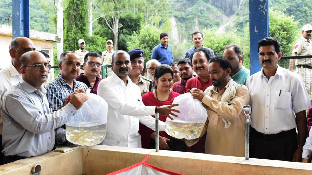 Dr. Loganathan Murugan, Dr Loganathan Murugan, BJP, Bharatiya Janata Party, Pradhan Mantri Matsya Sampada Yojana, PMMSY, Reasi, Deputy Commissioner Reasi, Babila Rakwal, Kashmir, Jammu And Kashmir, Jammu & Kashmir, District Administration Reasi