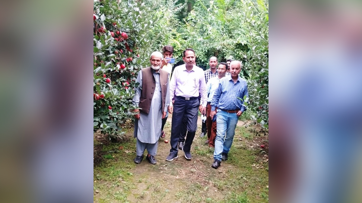 Horticulture, Horticulture Department, G.R. Mir, Horticulture Department Kashmir, Jammu, Kashmir, Jammu And Kashmir, Jammu & Kashmir