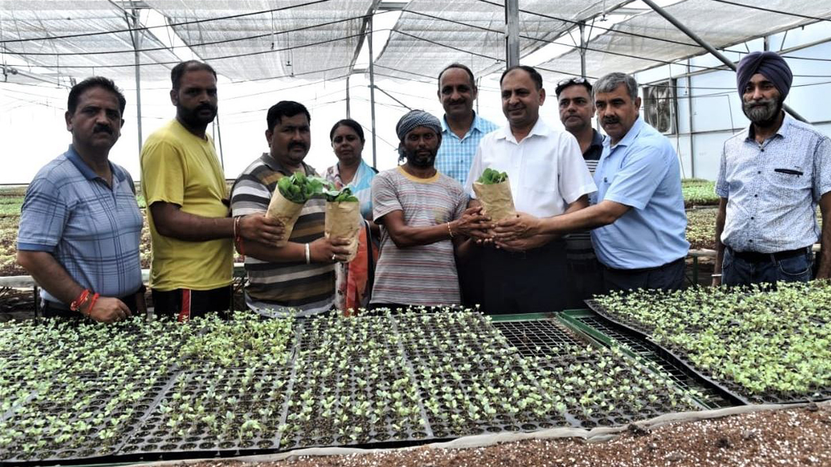 Agriculture, Director Agriculture Jammu, K. K. Sharma, Jammu, Jammu And Kashmir, Jammu & Kashmir, Kashmir Valley