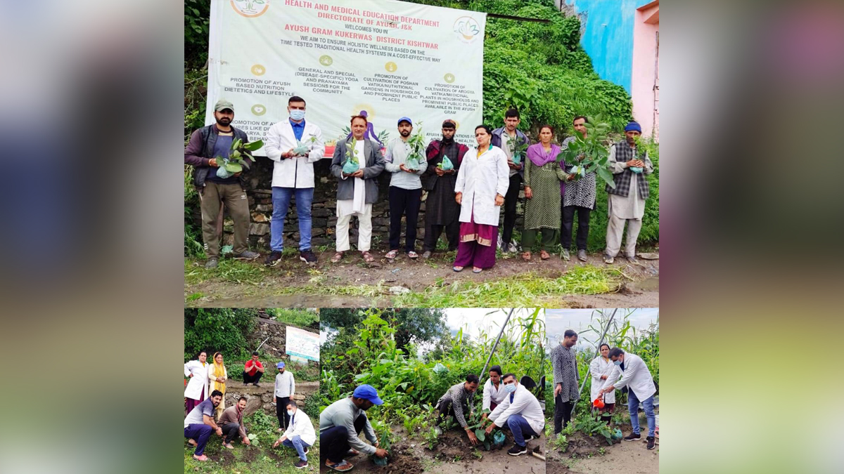 Azadi Ka Amrut Mahotsav, Plantation Drive, Dr. Mohan Singh, Jammu And Kashmir, Jammu & Kashmir, Kashmir Valley