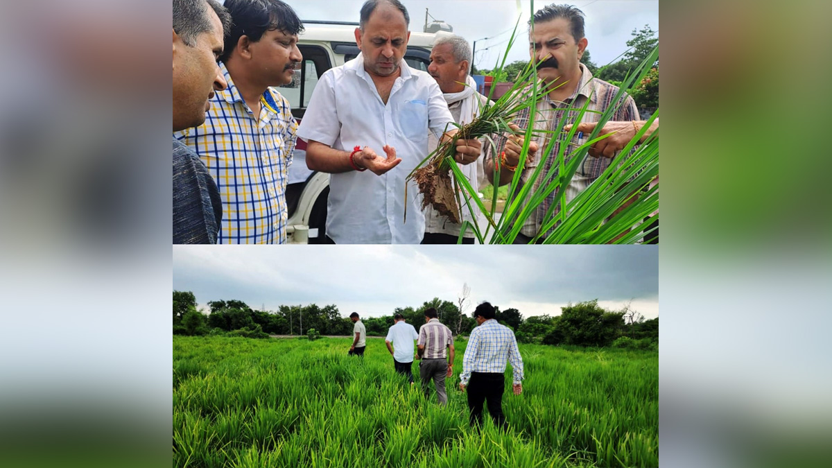 Agriculture, Director Agriculture Jammu, K. K. Sharma, Jammu, Jammu And Kashmir, Jammu & Kashmir, Kashmir Valley