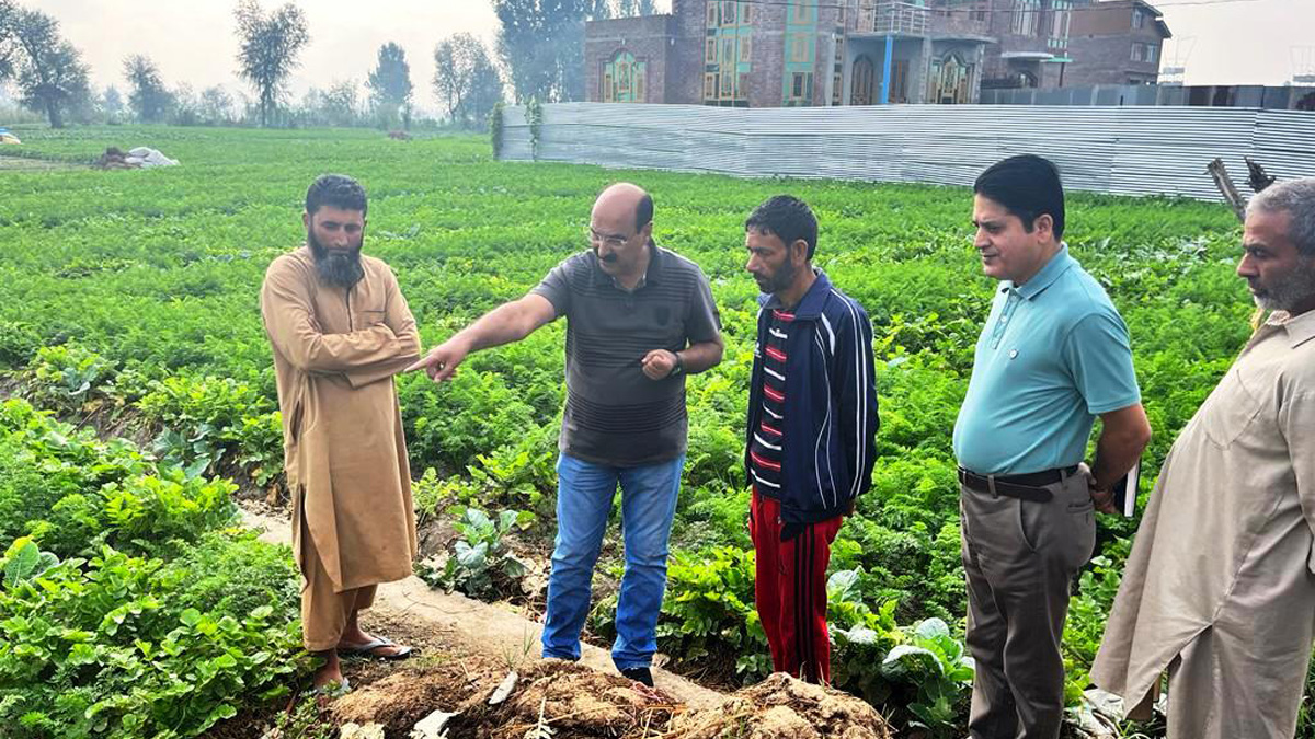 Agriculture, Director Agriculture Kashmir, Chowdhary Mohammad Iqbal, Srinagar, Kashmir, Jammu And Kashmir, Jammu & Kashmir, Kashmir Valley