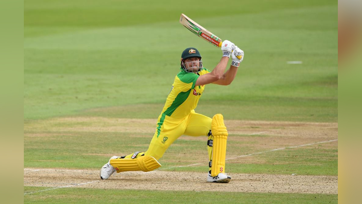 Sports News, Cricket, Cricketer, Player, Bowler, Batsman, Marcus Stoinis, David Warner, 3rd ODI, Australia Vs New Zealand