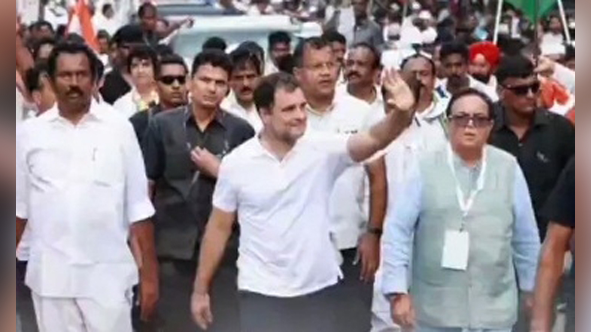 Rahul Gandhi, Indian National Congress, Congress, All India Congress Committee
