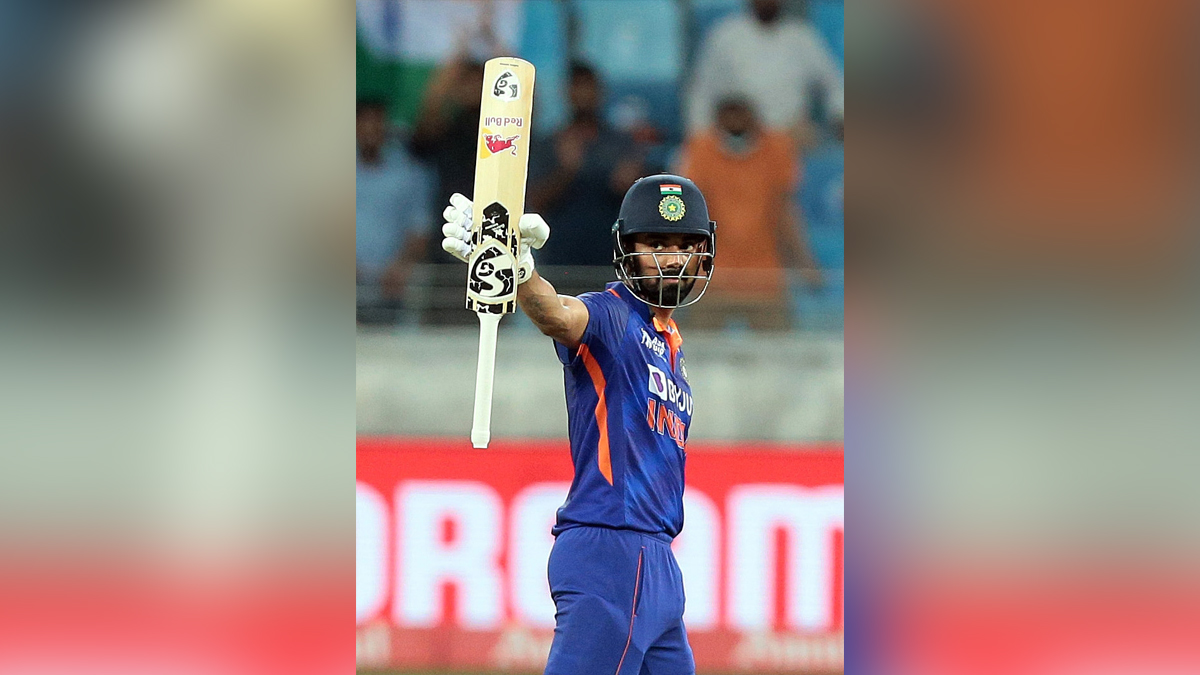 Virat Kohli, Sports News, Cricket, Cricketer, Player, Bowler, Batsman, T20 World Cup, T20 World Cup 2022