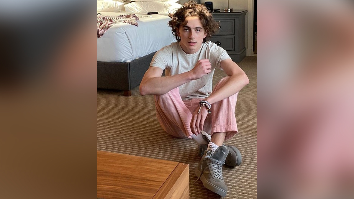 Hollywood, Los Angeles, Actress, Actor, Cinema, Movie, Timothee Chalamet
