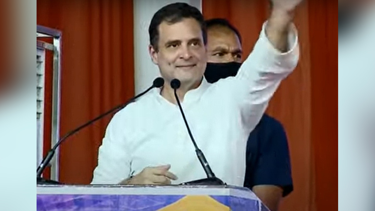 Rahul Gandhi, Indian National Congress, Congress, All India Congress Committee