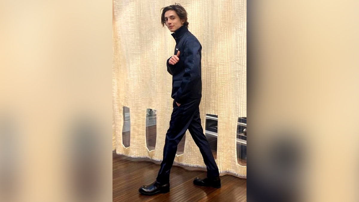 Hollywood, Los Angeles, Actress, Actor, Cinema, Movie, Timothee Chalamet