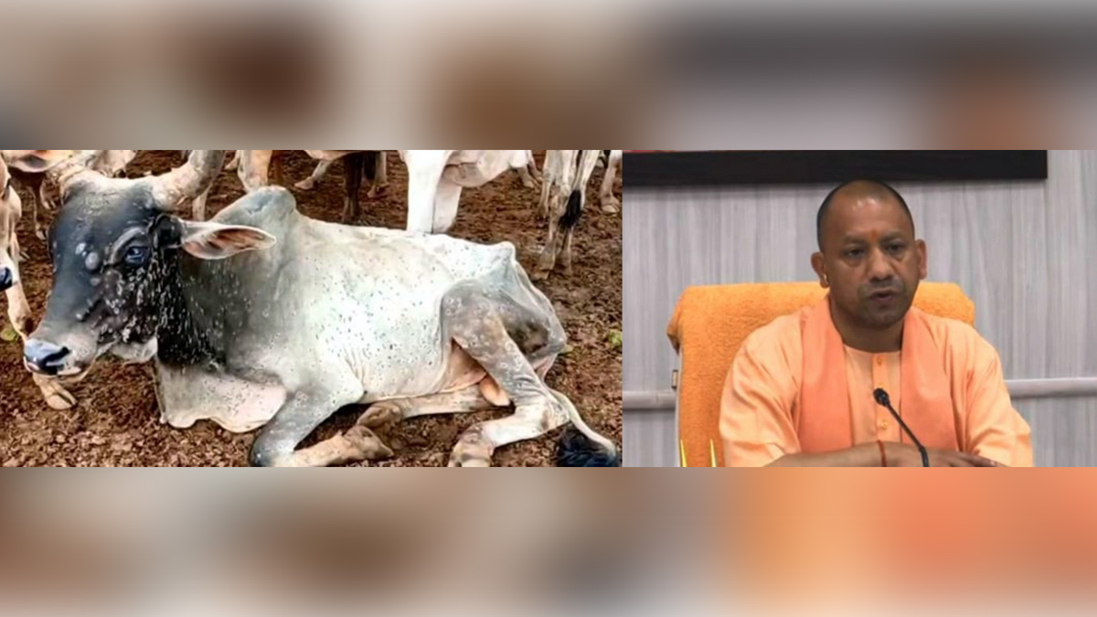 Yogi Adityanath, Lucknow, Uttar Pradesh, BJP, Bharatiya Janata Party, Uttar Pradesh Chief Minister, Lumpy Skin Disease, LSD