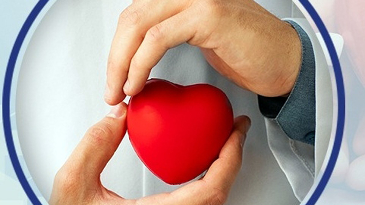 Health, Study, New York, Research, Researchers, World News