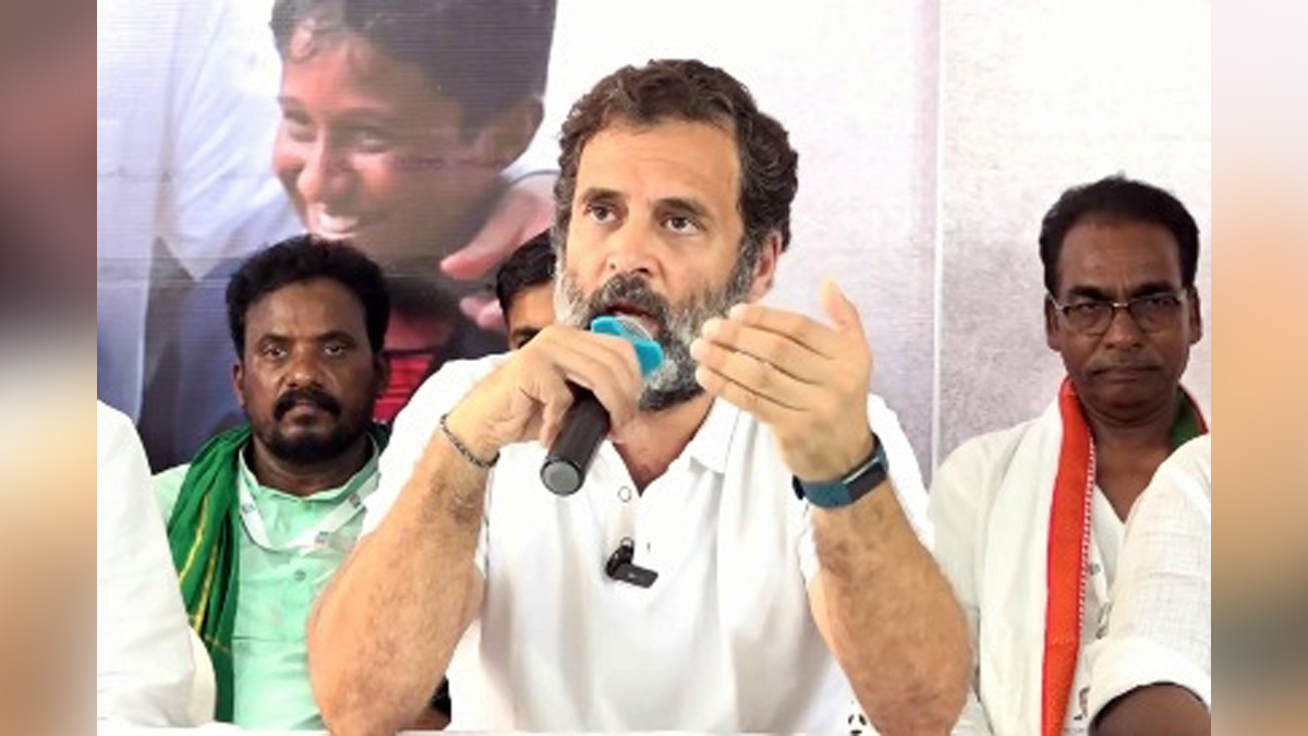 Rahul Gandhi, Indian National Congress, Congress, All India Congress Committee