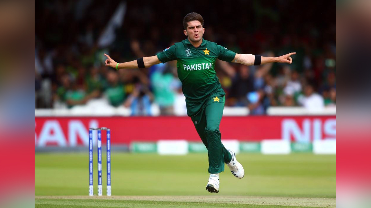 Sports News, Cricket, Cricketer, Player, Bowler, Batsman, Shaheen Shah Afridi, Pakistan Cricket Board, PCB, T20 World Cup, T20 World Cup 2022