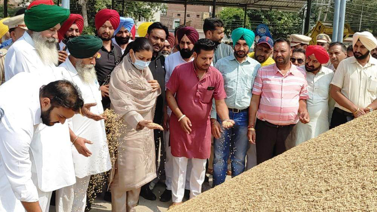 Anmol Gagan Mann, AAP, Aam Aadmi Party, Aam Aadmi Party Punjab, AAP Punjab, Government of Punjab, Punjab Government