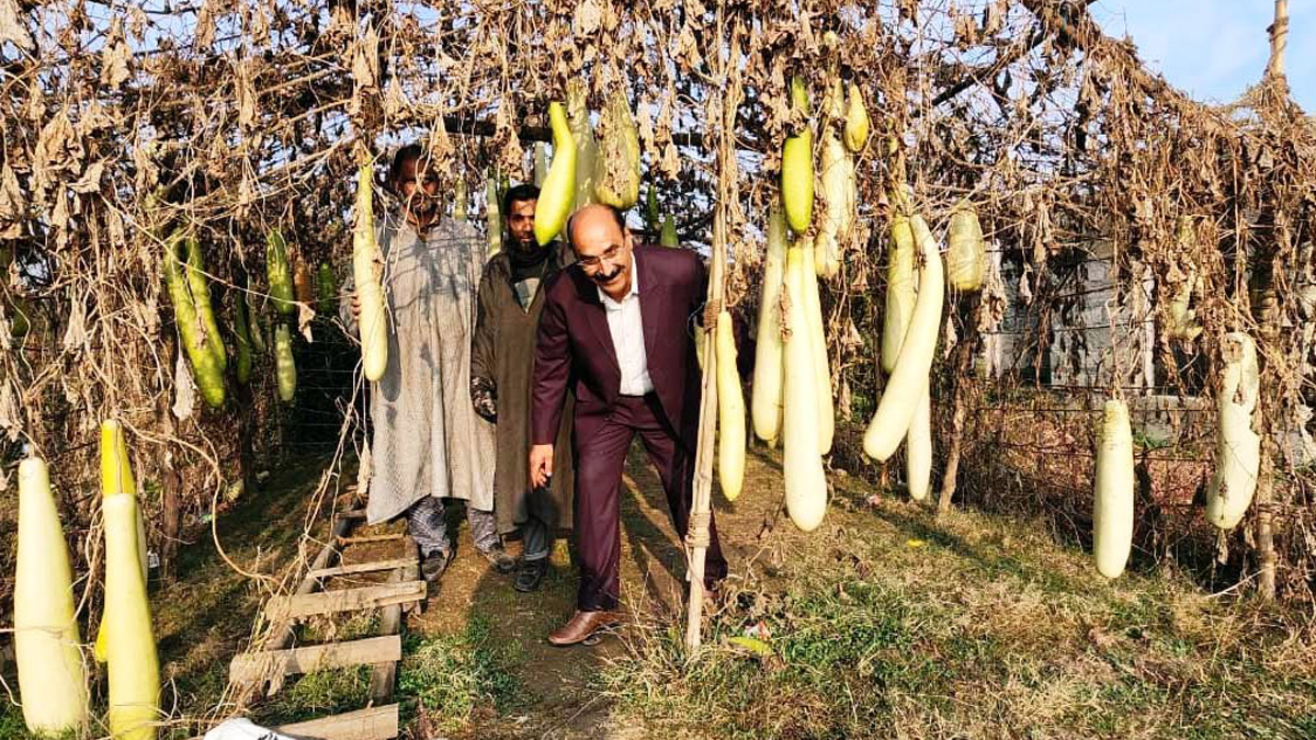 Agriculture, Director Agriculture Kashmir, Chowdhary Mohammad Iqbal, Srinagar, Kashmir, Jammu And Kashmir, Jammu & Kashmir, Kashmir Valley