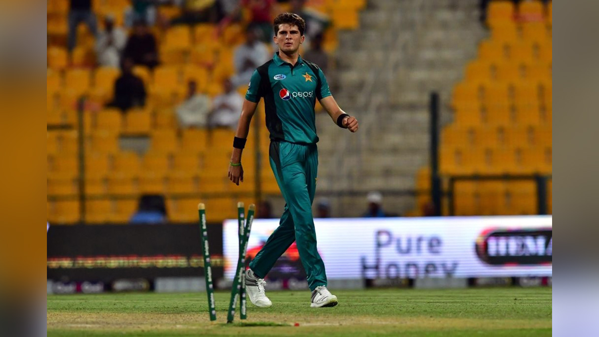 Sports News, Cricket, Cricketer, Player, Bowler, Batsman, T20 World Cup, T20 World Cup 2022, Ricky Ponting, Shaheen Shah Afridi