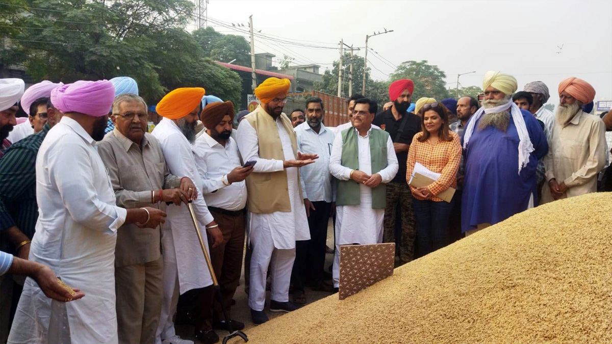 Kuldeep Singh Dhaliwal, AAP, Aam Aadmi Party, Aam Aadmi Party Punjab, AAP Punjab, Government of Punjab, Punjab Government
