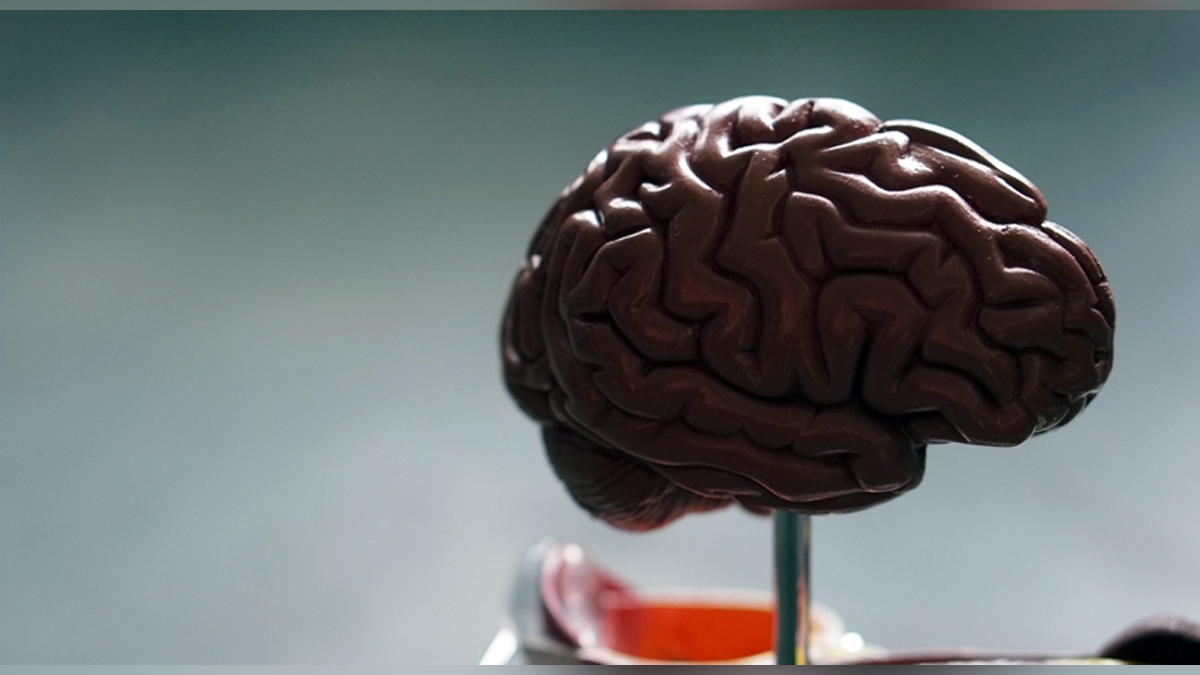 Health, Study, New York, Research, Researchers, World News