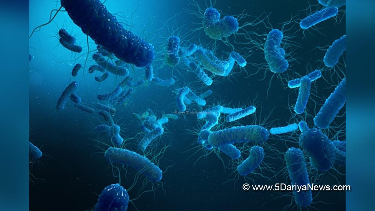 Health, Study, London, Research, Researchers, World News