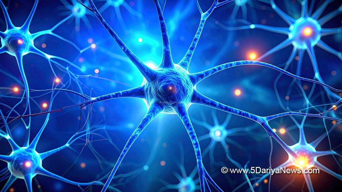 Health, Research, weight loss drug brain cells, University of Gothenburg semaglutide study, weight loss drugs side effects, obesity treatment research 2025