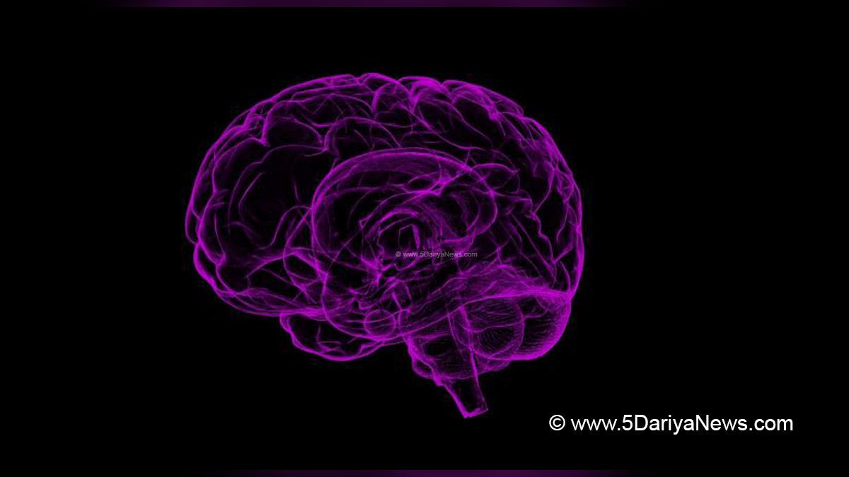 Health, Research, Curtin University, Dementia, Dementia Disease, Dementia Treatment, Gene Variant
