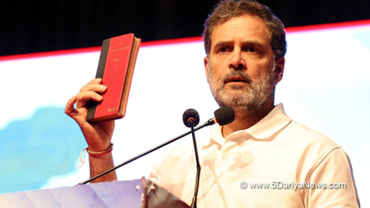 Rahul Gandhi, Indian National Congress, Congress, All India Congress Committee,Congress Working Committee, CWC