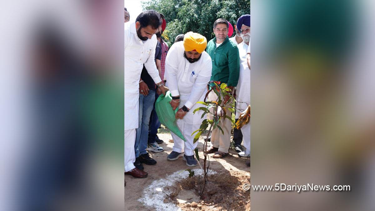 Harjot Singh Bains, AAP, Aam Aadmi Party, Aam Aadmi Party Punjab, AAP Punjab, Government of Punjab, Punjab Government, Tree Plantation, Forest Plantation, Plantation forestry, Tree Planting, Tree Plantation Drive, Plants Sapling, World Environment Day