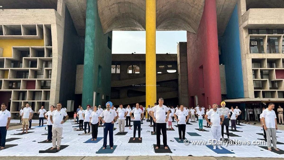 Punjab and Haryana High Court, 11th International Day of Yoga, International Day of Yoga, Yoga Day, International Day of Yoga 2025