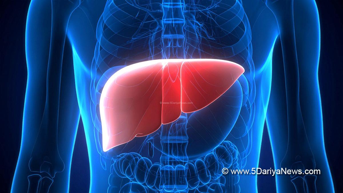 Health, Research, microplastics in food, nanoplastics health risk, liver damage microplastics, polystyrene nanoparticles study