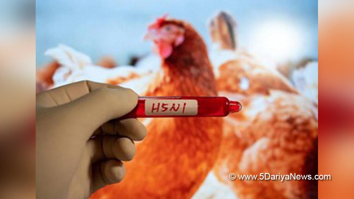 Health, H5N1 Bird Flu, Cambodia, Cambodia Bird Flu, Bird Flu Cambodia