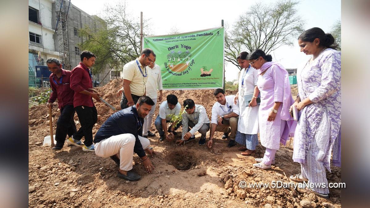 National Institute of Ayurveda, Prof Sanjeev Sharma, 11 International Day of Yoga 2025, Panchkula, Haryana, Tree Plantation, Forest Plantation, Plantation forestry, Tree Planting, Tree Plantation Drive, Plants Sapling