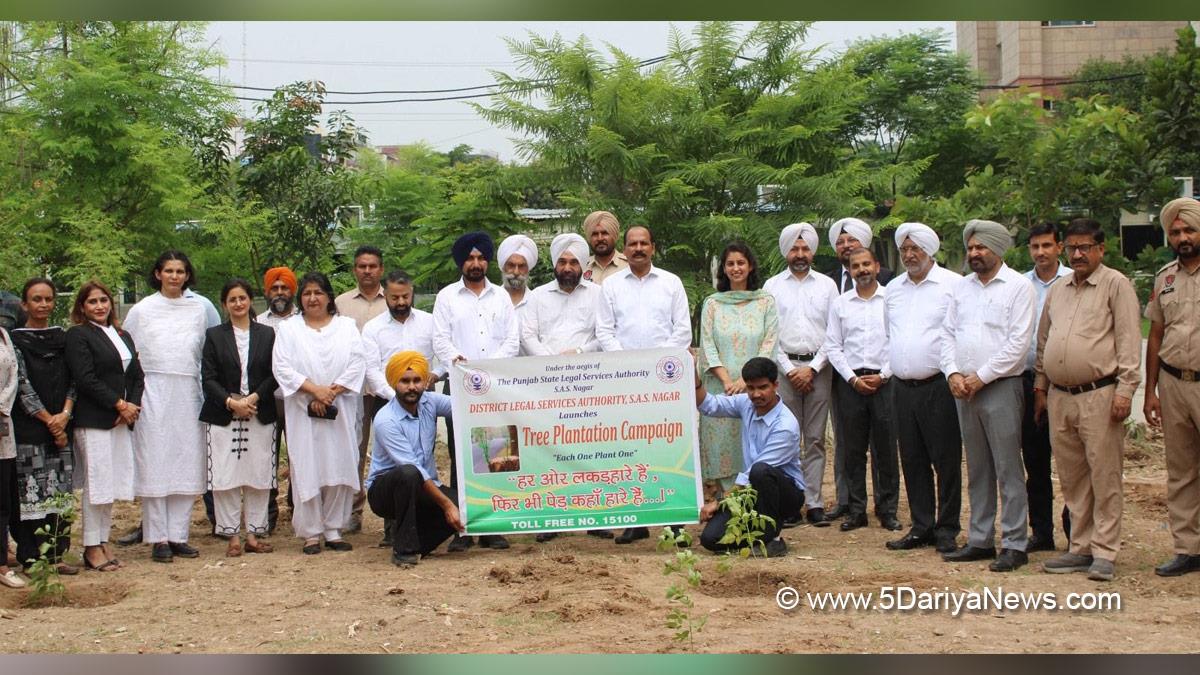 Tree Plantation, Forest Plantation, Plantation forestry, Tree Planting, Tree Plantation Drive, Plants Sapling, Tree Plantation Drive 2025, Ek Ped Maa Ke Naam