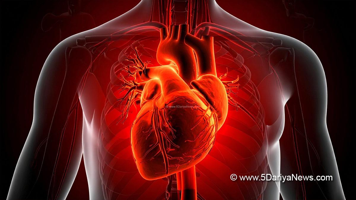 Health, Technology, Artificial Intelligence, Artificial Intelligence Cardiac Death Prediction, Cardiac Death Prediction AI, Ai Cardiac Death Prediction