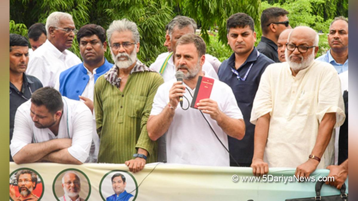 Rahul Gandhi, Indian National Congress, Congress, All India Congress Committee,Congress Working Committee, CWC