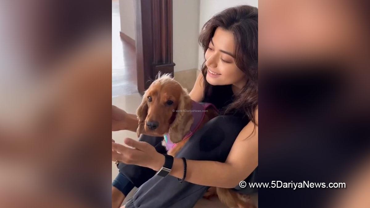 Rashmika Mandanna, Bollywood, Entertainment, Mumbai, Actress, Cinema, Hindi Films, Movie, Mumbai News, Heroine
